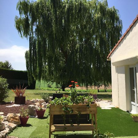 Domaine De La Vigne Bed and Breakfast Cadalen Eksteriør billede
