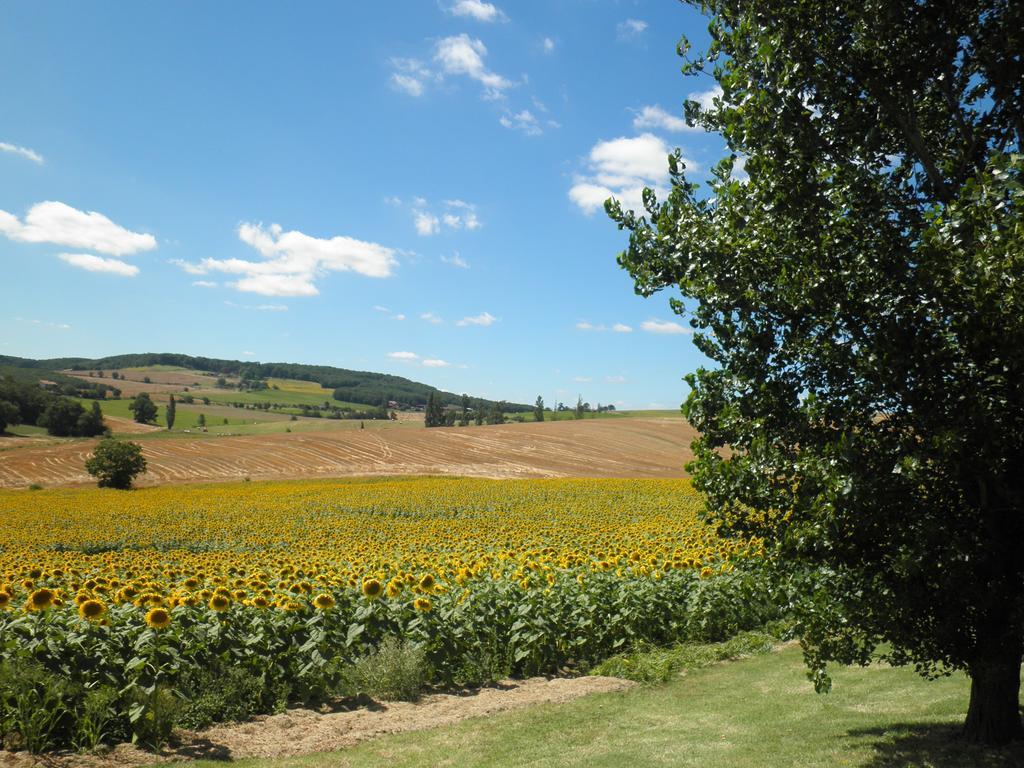 Domaine De La Vigne Bed and Breakfast Cadalen Eksteriør billede
