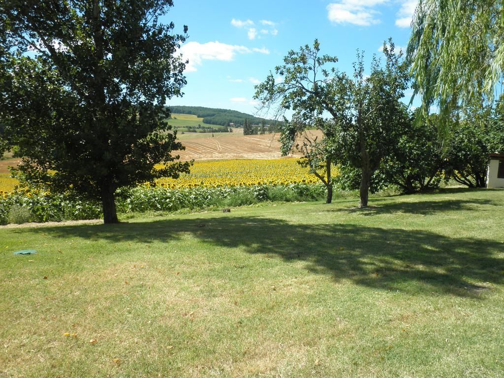 Domaine De La Vigne Bed and Breakfast Cadalen Eksteriør billede